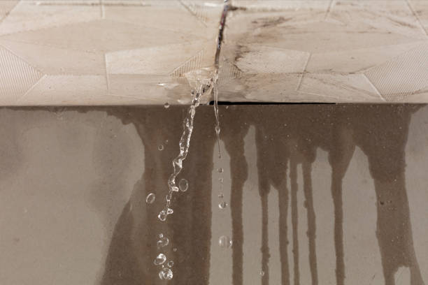 Professional Structural Drying technician working in Port Hope, MI